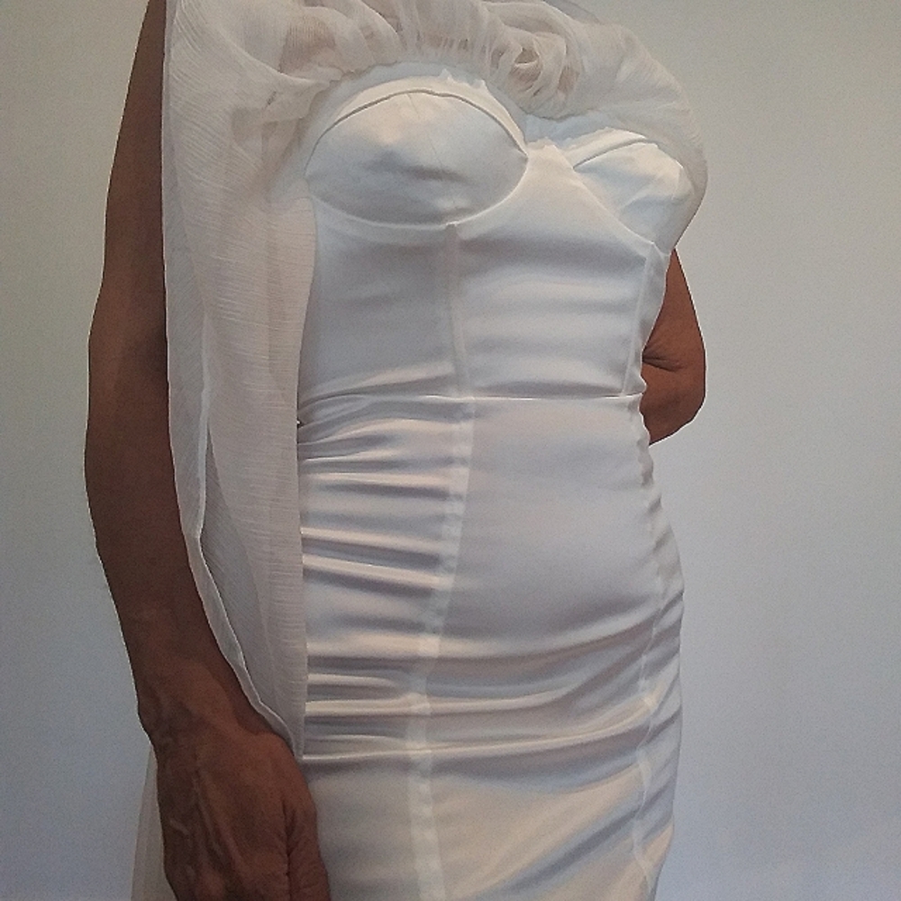 NWT 60's corset mini dress with tule overdress